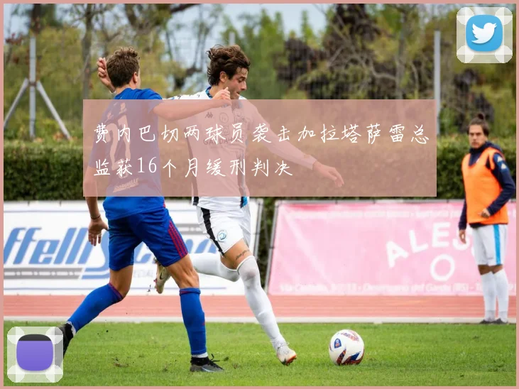 费内巴切两球员袭击加拉塔萨雷总监获16个月缓刑判决