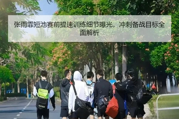 张雨霏短池赛前提速训练细节曝光,冲刺备战目标全面解析